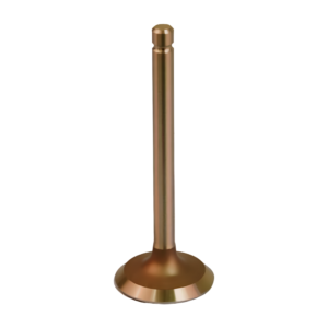 EZGO Gas 4-Cycle 350cc & 295cc Intake Valve (Years 1996-2003) - Image 1