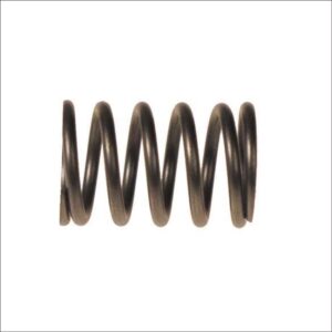 EZGO RXV Valve Spring (Years 2008-Up) - Image 1