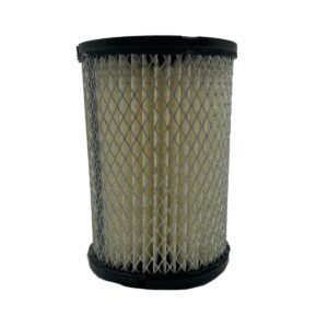 1976-95 Club Car-Columbia Par Car - Air Filter Replacement - Image 4