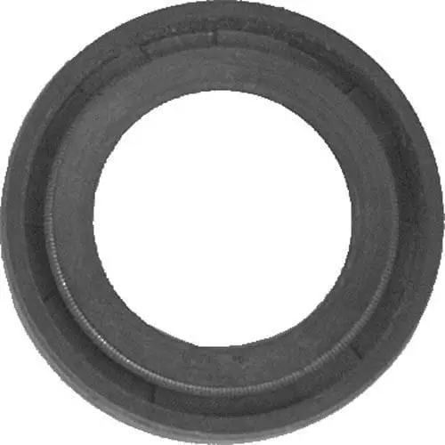 Club Car FE350 Golf Cart Clutch Side Crankshaft Seal (1996-Up)