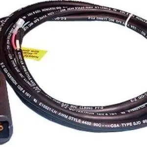 EZGO 10-Foot DC Powerwise Cord Set (Years 1975-Up) - Image 1