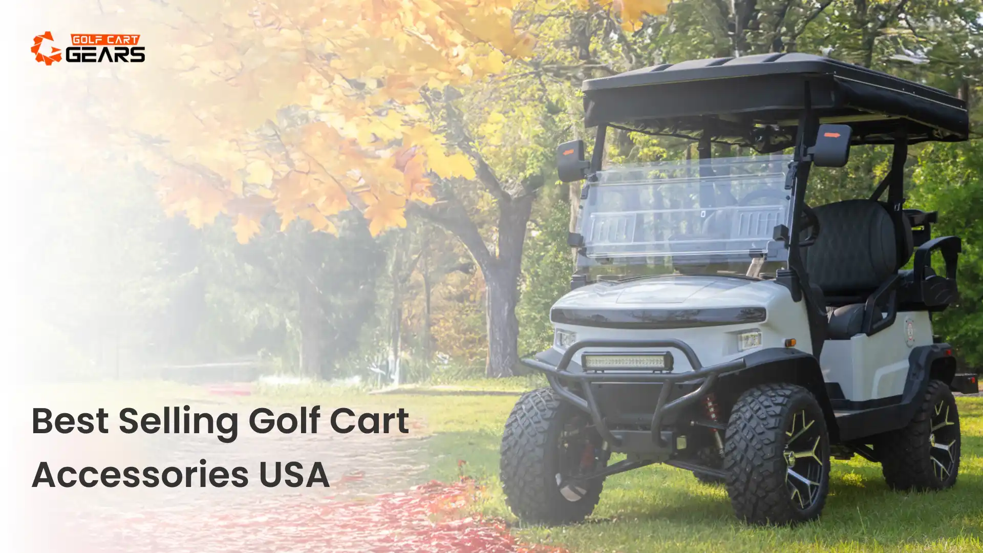 Best Selling Golf Cart Accessories USA