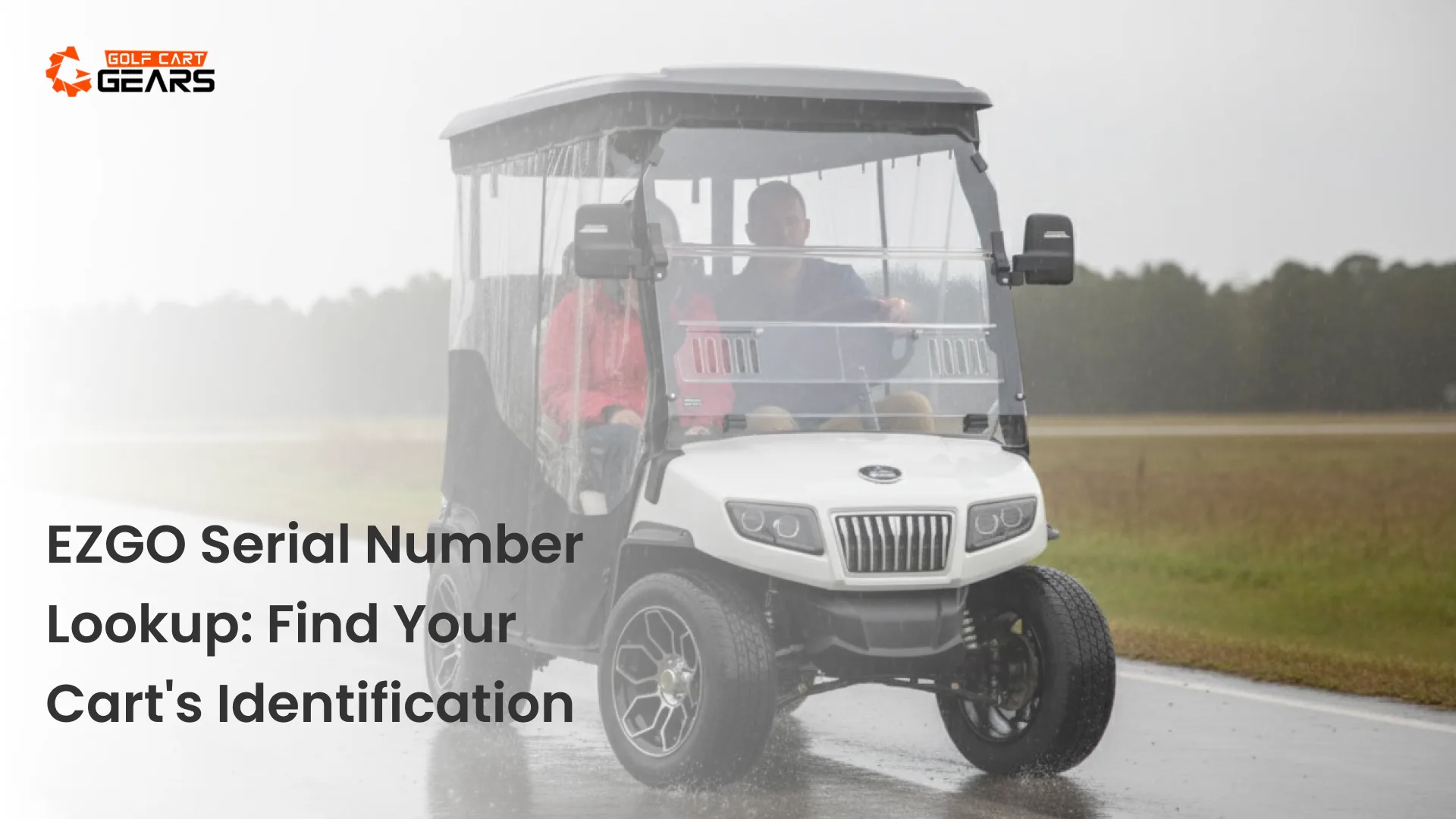 EZGO Serial Number Lookup_ Find Your Cart's Identification