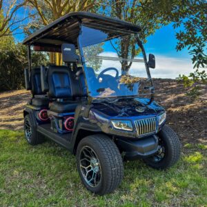 RedDot Evolution D5 Ranger & Maverick Tinted Folding Windshield - Image 6