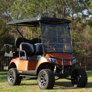 MadJax® Yamaha Drive2 Armor Nerf Bar with Drop Down Side Step and Brackets - Image 5